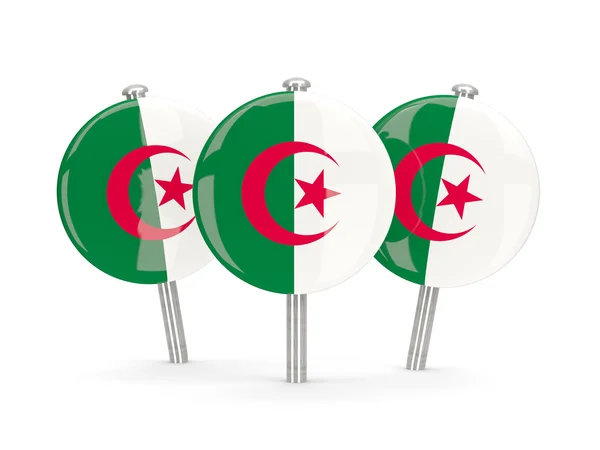Flag of algeria, round pins — Stock Photo, Image