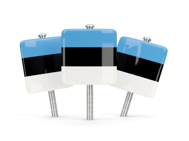 Estonya, üç kare pimleri bayrağı