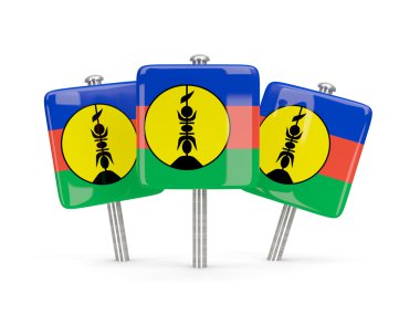 Yeni Kaledonya, üç kare pimleri bayrağı