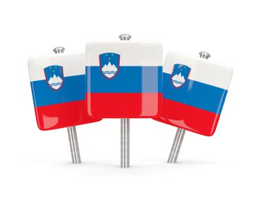 Slovenya, üç kare pimleri bayrağı