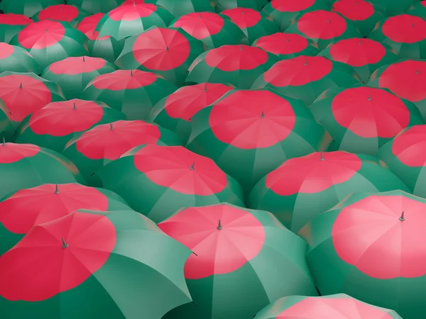 Guarda-chuvas com bandeira de bangladesh — Fotografia de Stock