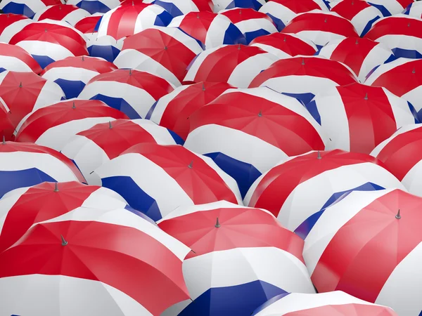 Paraguas con bandera de Costa Rica —  Fotos de Stock
