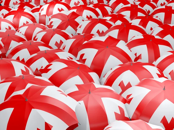Paraplu's met de vlag van Georgië — Stockfoto