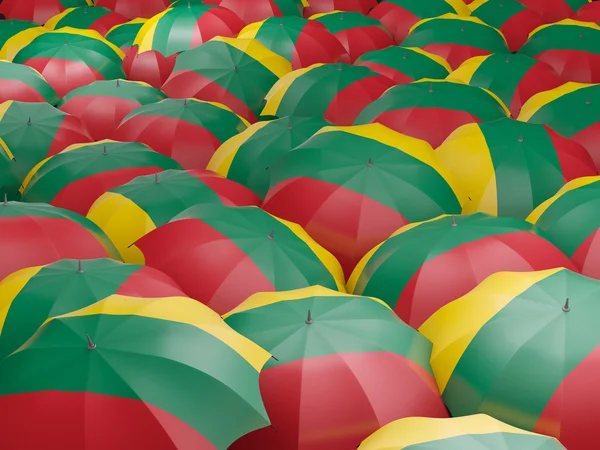 Esernyők, Litvánia zászlaja — Stock Fotó