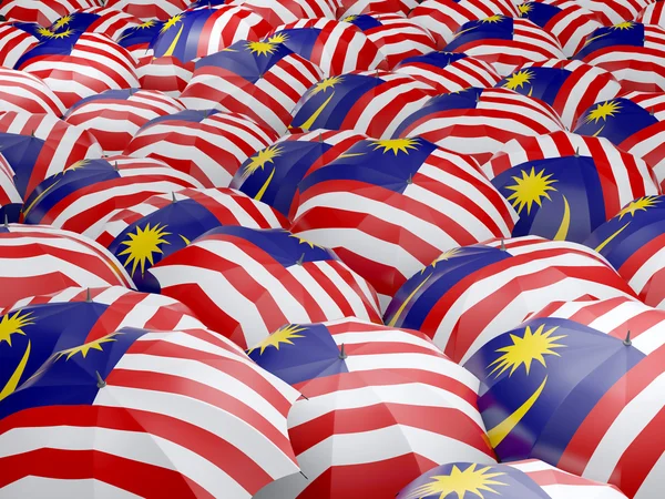 Парасольки з прапором Малайзії — стокове фото