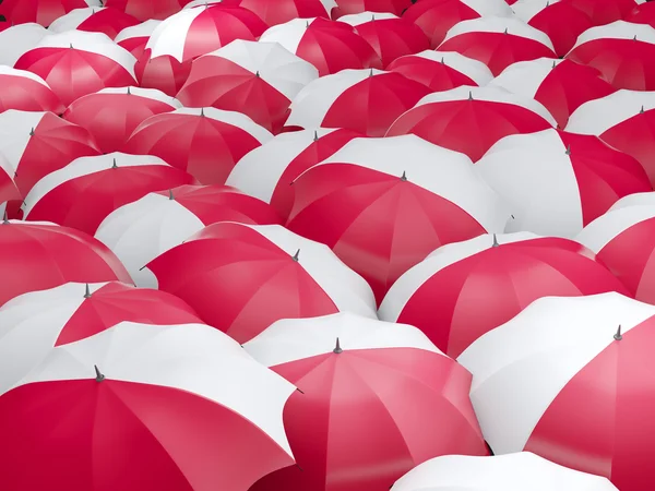 Esernyők, Lengyelország zászlaja — Stock Fotó