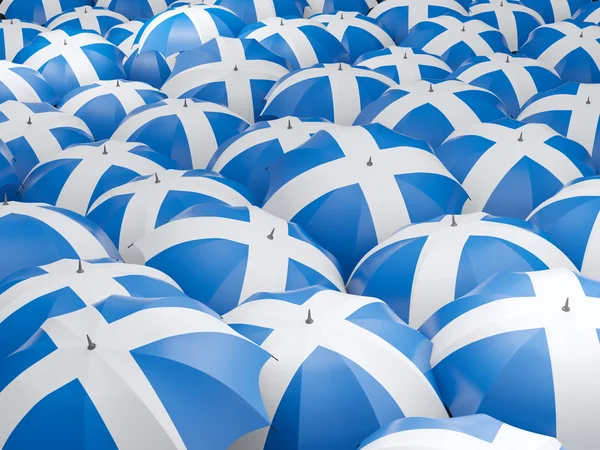Esernyők, Skócia zászlaja — Stock Fotó