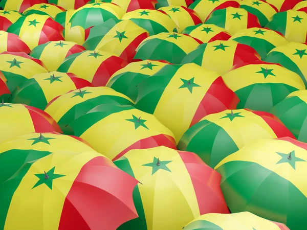 Parapluies avec drapeau de senegal — Photo