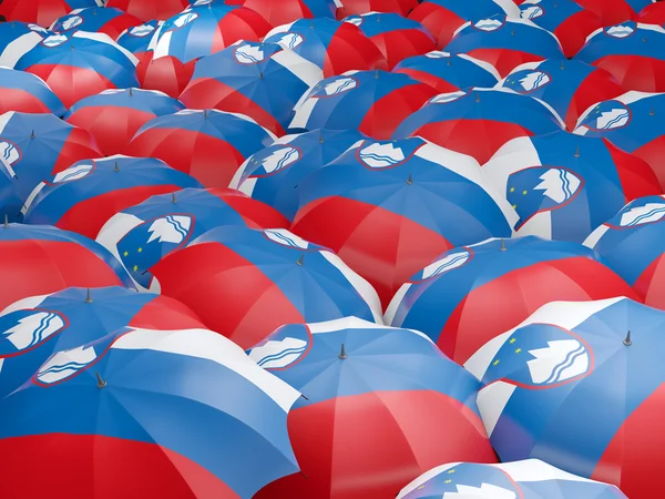 Şemsiye ile Slovenya bayrağı — Stok fotoğraf