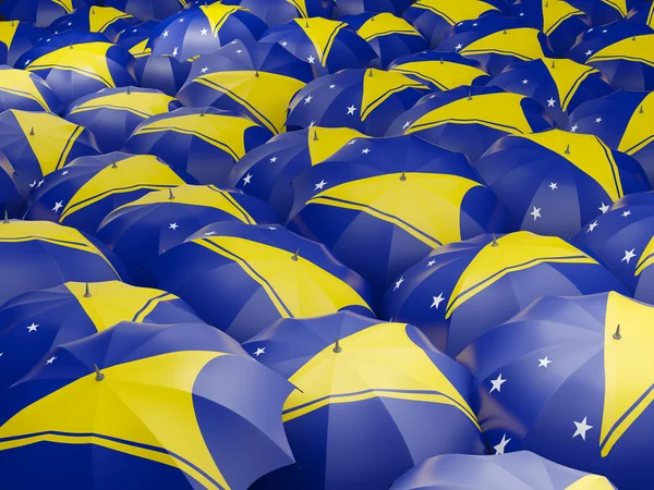 토켈라우의 기 우산 — 스톡 사진