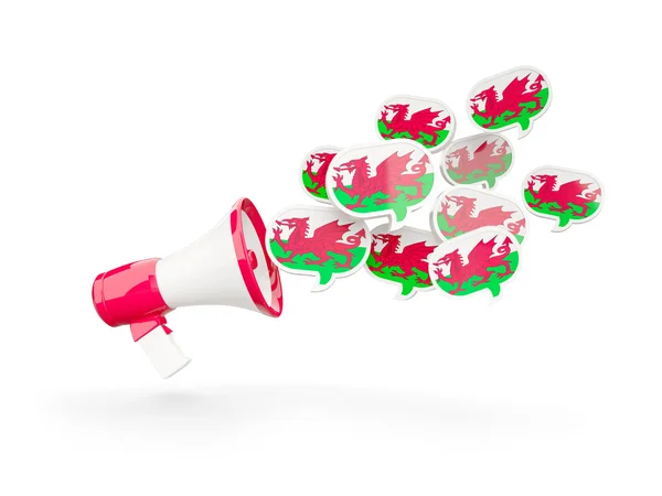 Megafon s vlajkou z Walesu — Stock fotografie