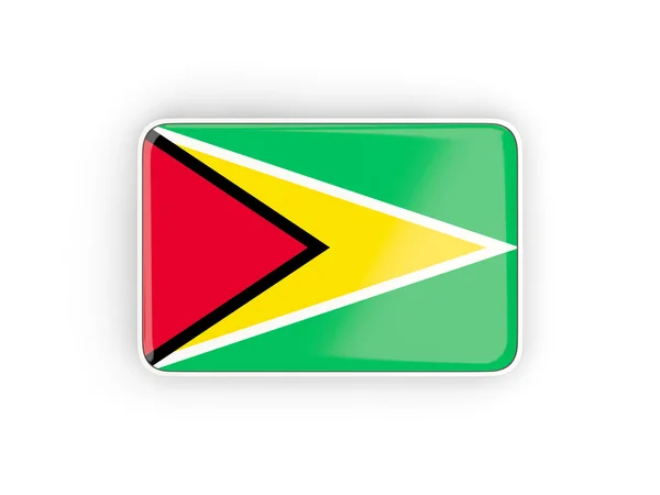 Bandera de Guyana, icono rectangular —  Fotos de Stock