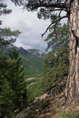 Baykal Gölü peyzaj