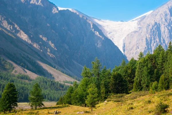 Altay mountaind Aktru-gleccser lábánál — Stock Fotó