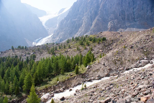 Small Aktru glacier, Altay mountains — Stock Photo, Image