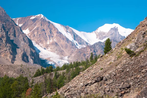 Am ausläufer des aktru gletschers, altay mountaind — Stockfoto