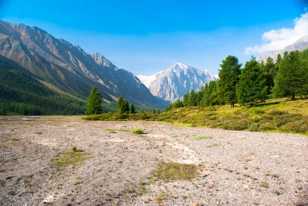 Altay mountaind Aktru-gleccser lábánál — Stock Fotó
