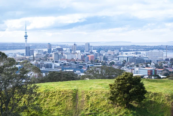 Auckland şehir manzaralı dağın üzerinden.