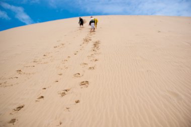 Büyük kumulları North Island, Yeni Zelanda