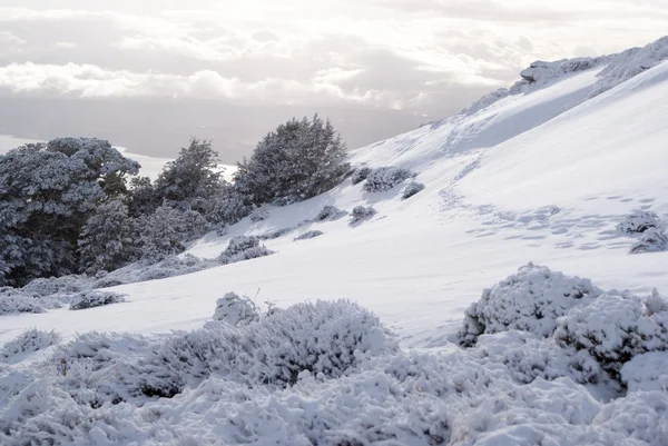 Montañas cubiertas de nieve en Kepler Track, Nueva Zelanda —  Fotos de Stock