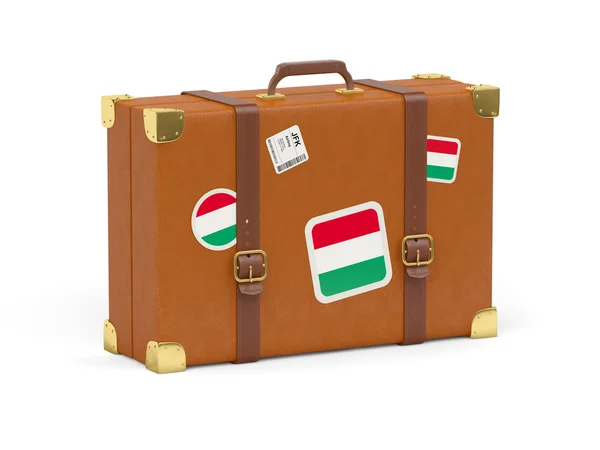 Macaristan bayrağı ile bavul — Stok fotoğraf