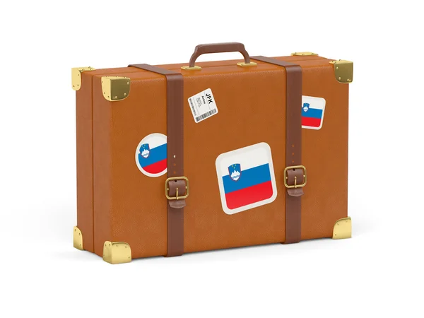 Valise avec drapeau de la slovenia — Photo