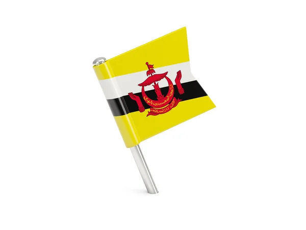 Brunei bayrağı pin — Stok fotoğraf