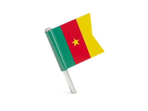 Flag pin of cameroon — Stock Photo, Image
