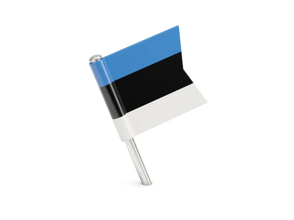Alfinete de bandeira da estônia — Fotografia de Stock