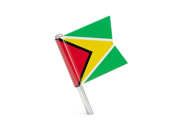 Vlag pin van guyana — Stockfoto