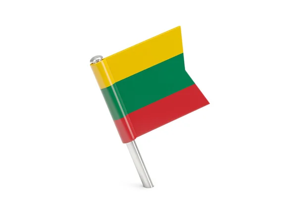 立陶宛的国旗胸针 — 图库照片