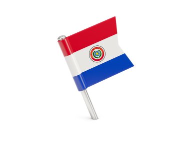 Bayrak pin Paraguay