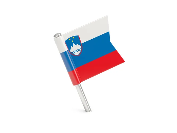 Alfinete de bandeira de slovenia — Fotografia de Stock