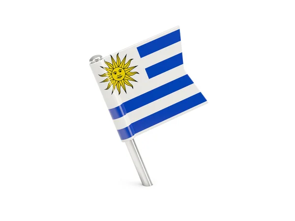 Vlajku pin Uruguaye — Stock fotografie