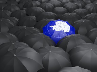 Şemsiye Antarktika bayrak ile