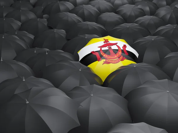 Paraplu met vlag van brunei — Stockfoto