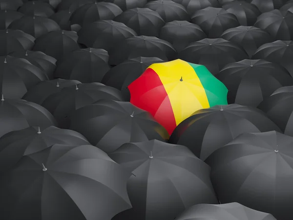 Esernyő-guinea zászlaja — Stock Fotó