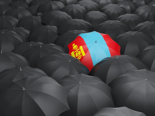 몽골의 국기와 우산 — 스톡 사진