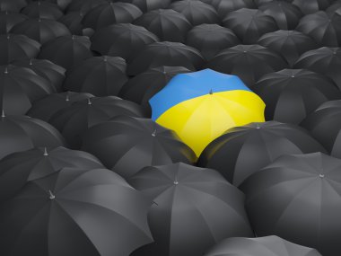 Şemsiye ile Ukrayna bayrağı