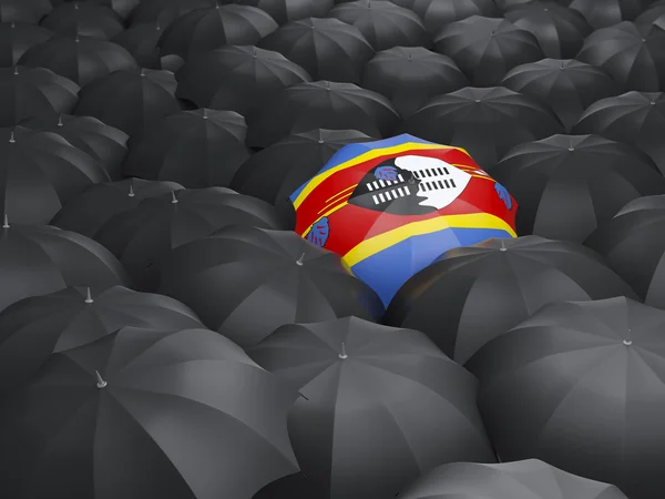 Umbrella with flag of swaziland — Stock Photo, Image