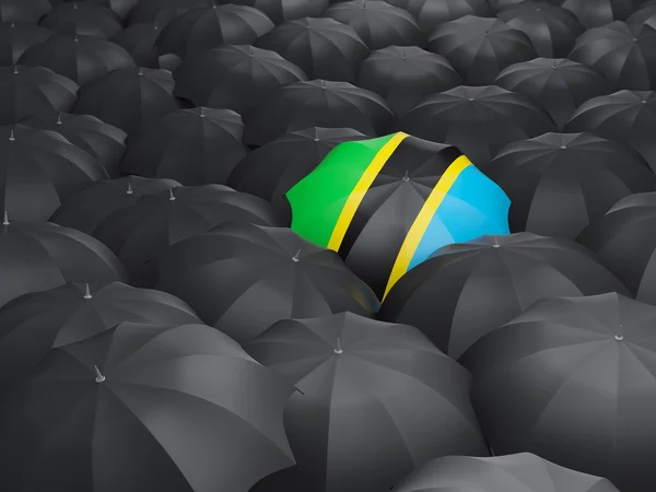 Зонтик с флагом Танзании — стоковое фото
