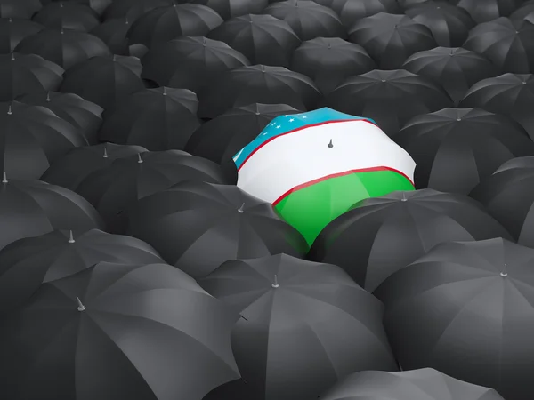 Guarda-chuva com bandeira do uzbequistão — Fotografia de Stock