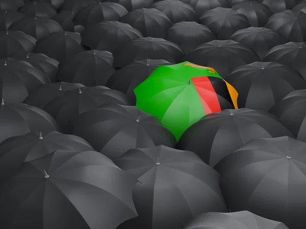 Umbrella with flag of zambia — Stock Photo, Image