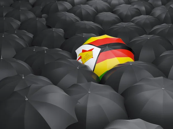 Guarda-chuva com bandeira de zimbabwe — Fotografia de Stock