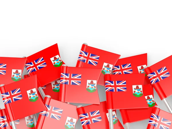 Flagga pin av bermuda — Stockfoto