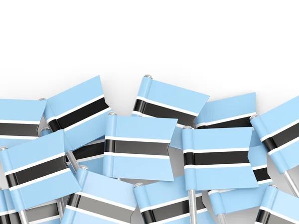 Botswana Flag PIN-kód — Stock Fotó