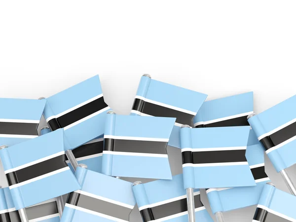 Flag pin of botswana — Stock Photo, Image