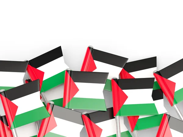 Flag pin of palestinian territory — Stock Photo, Image