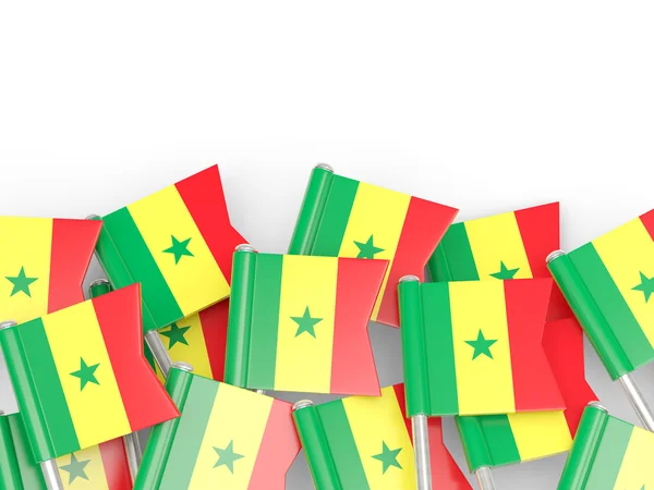 Épinglette de drapeau de senegal — Photo