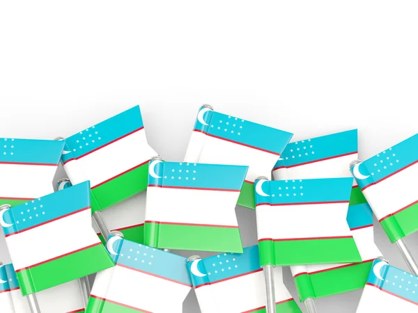 Épinglette de drapeau de l'Ouzbékistan — Photo